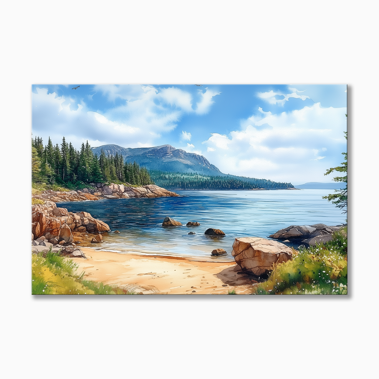 Acadia National Park