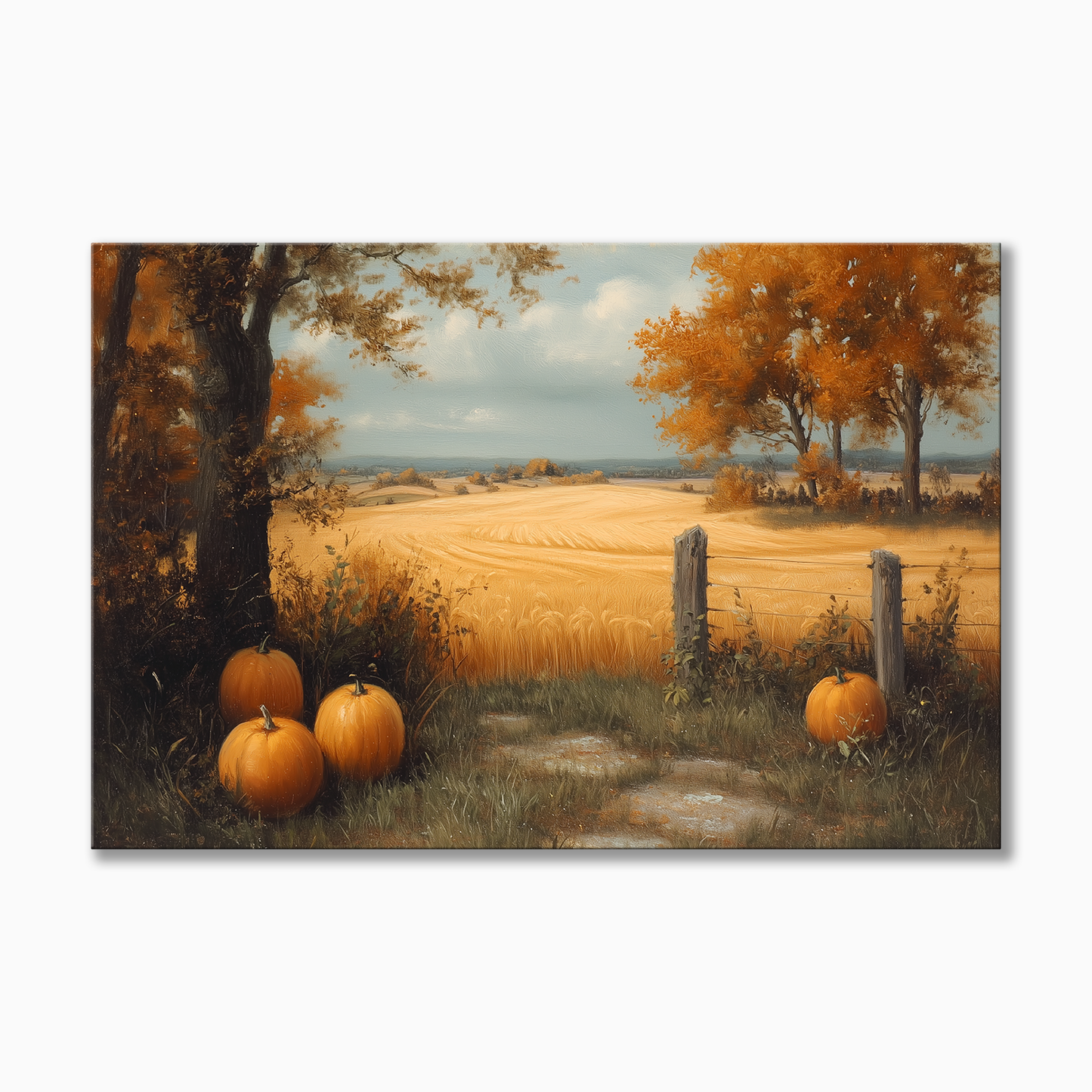 Autumn Harvest Pumpkin Field