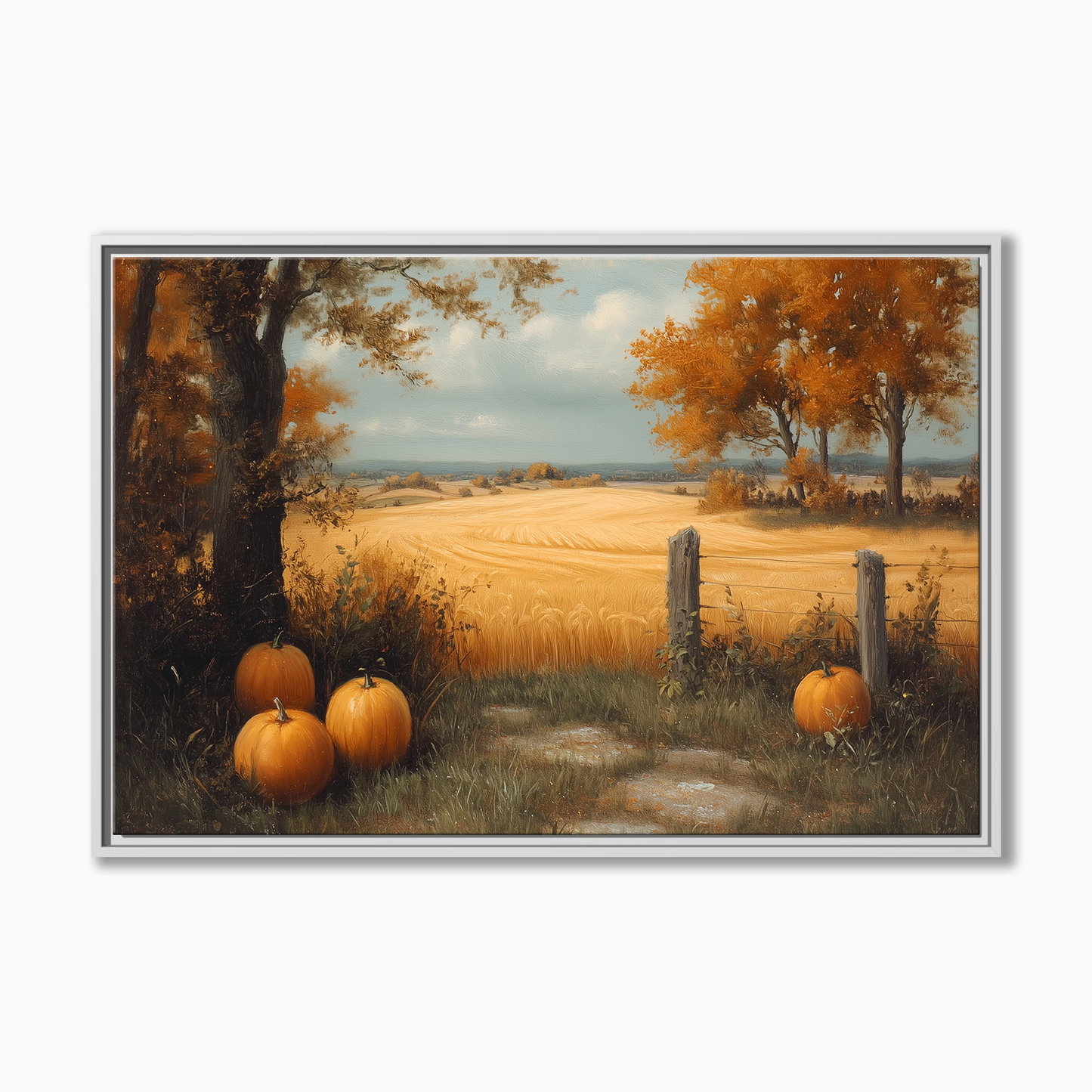 Autumn Harvest Pumpkin Field
