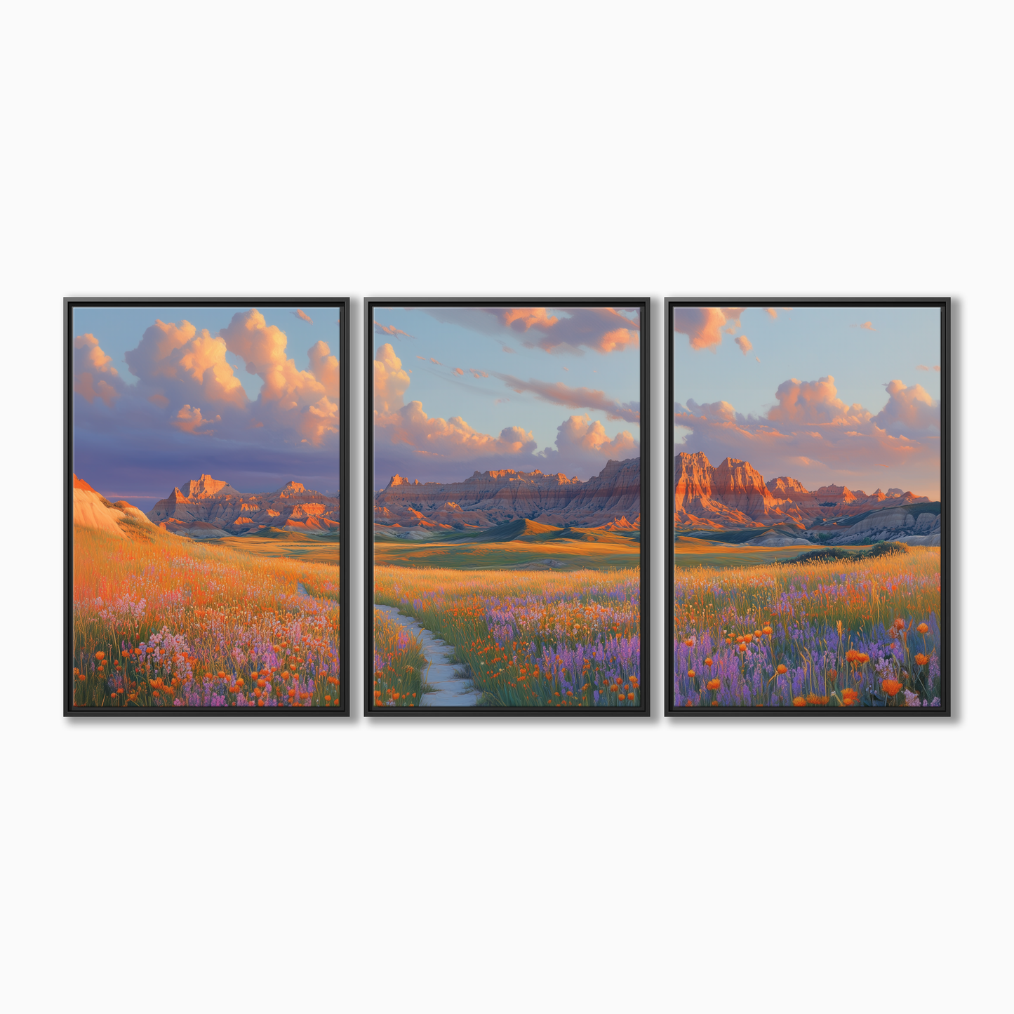 Badlands National Park