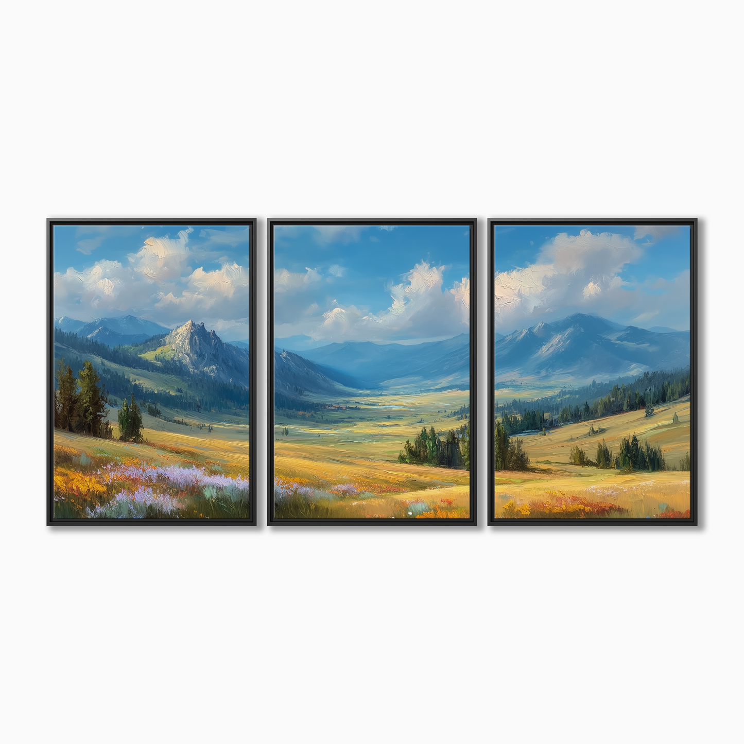 Bighorn Mountains Wyoming