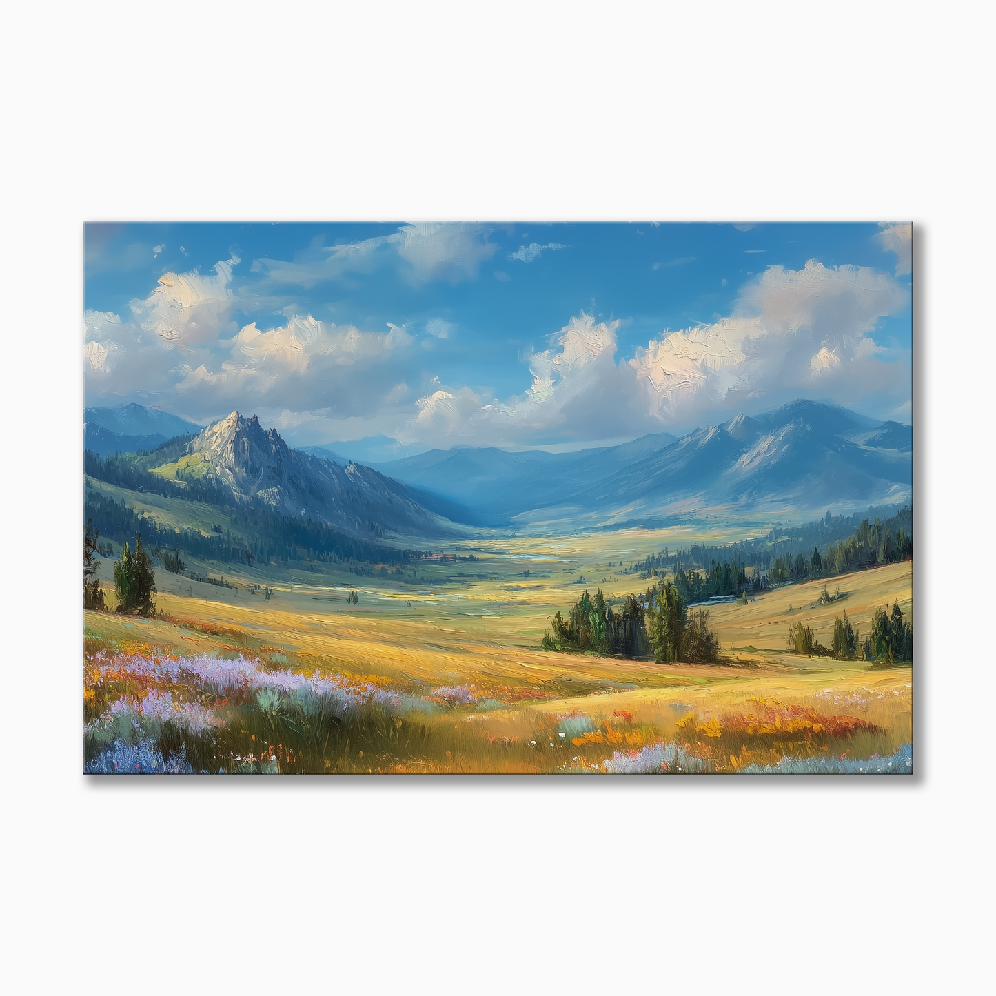 Bighorn Mountains Wyoming