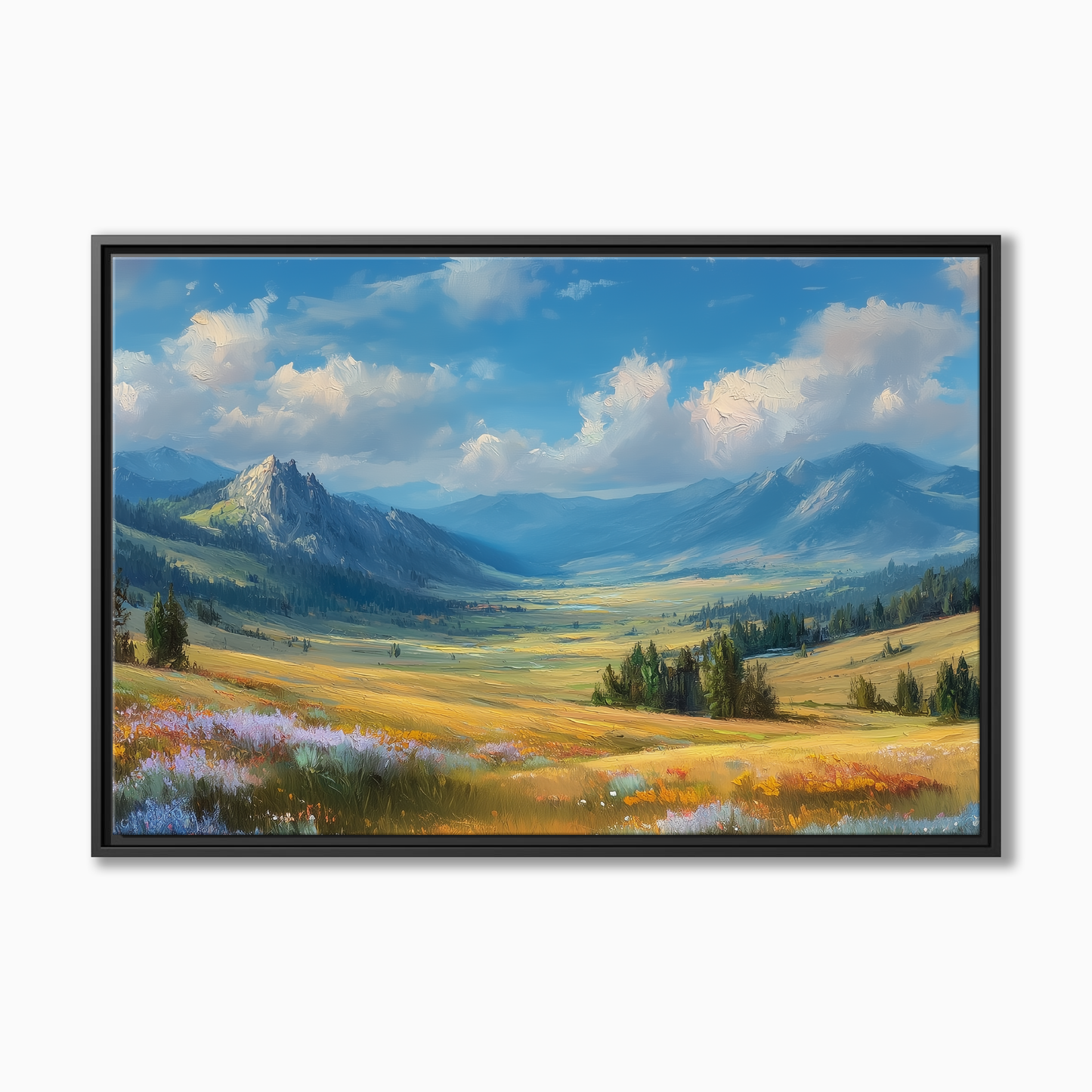 Bighorn Mountains Wyoming
