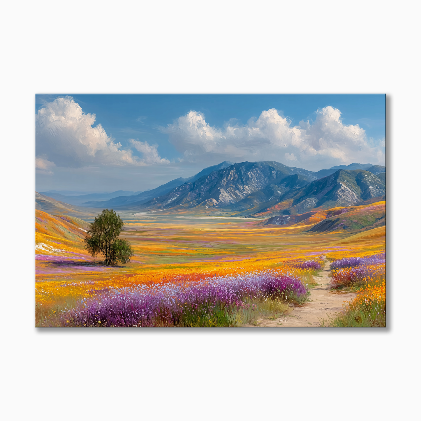 Charrizo Plain Super Bloom