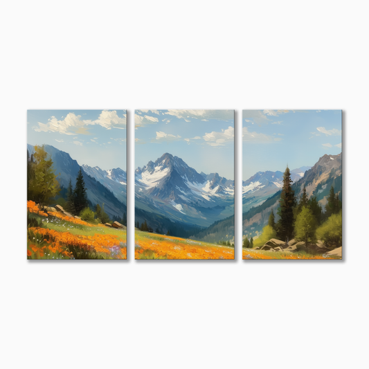 Colorado Alpine Meadow
