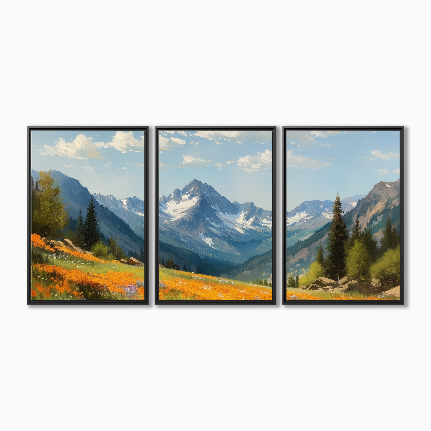 Colorado Alpine Meadow