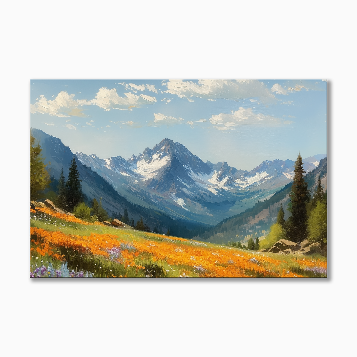 Colorado Alpine Meadow