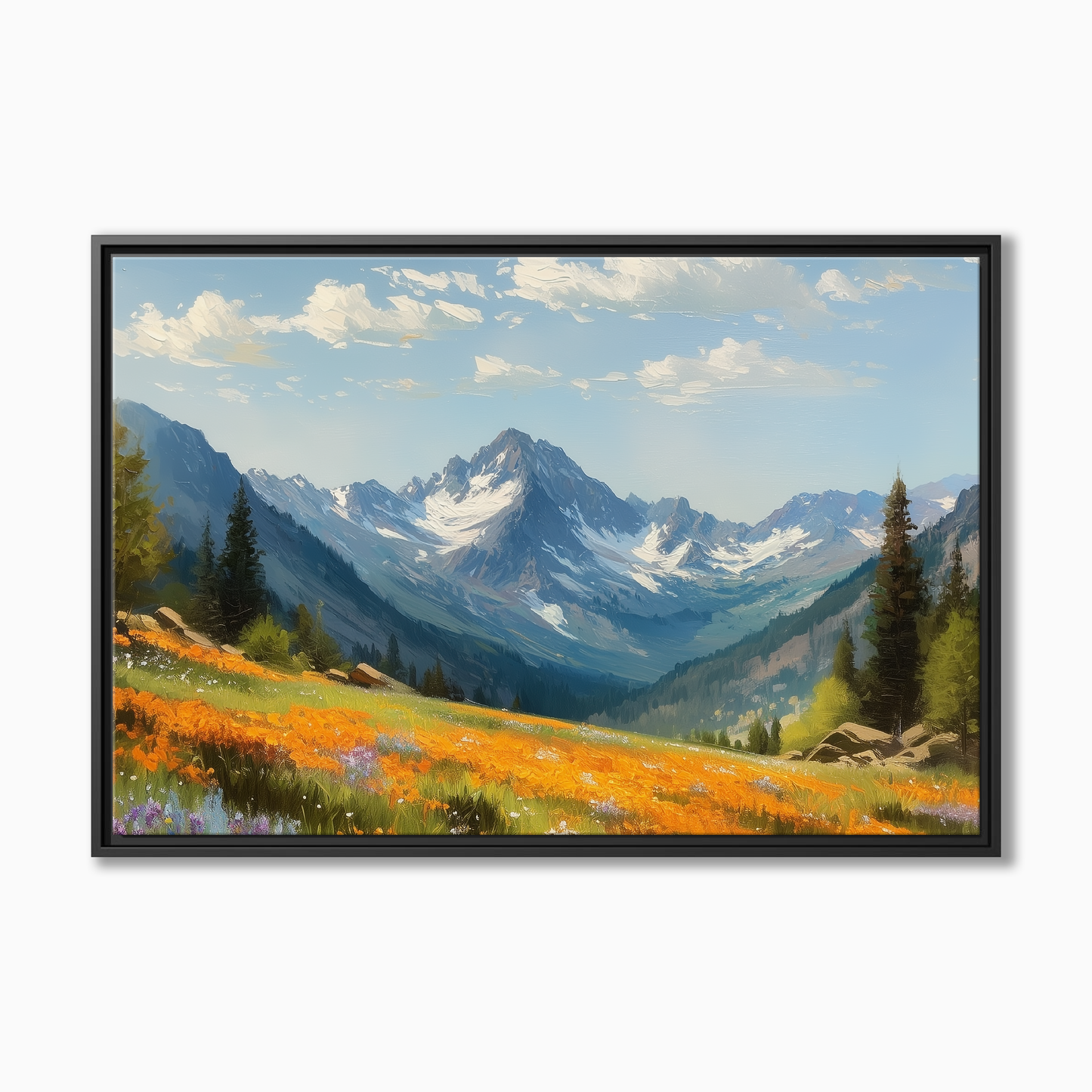 Colorado Alpine Meadow