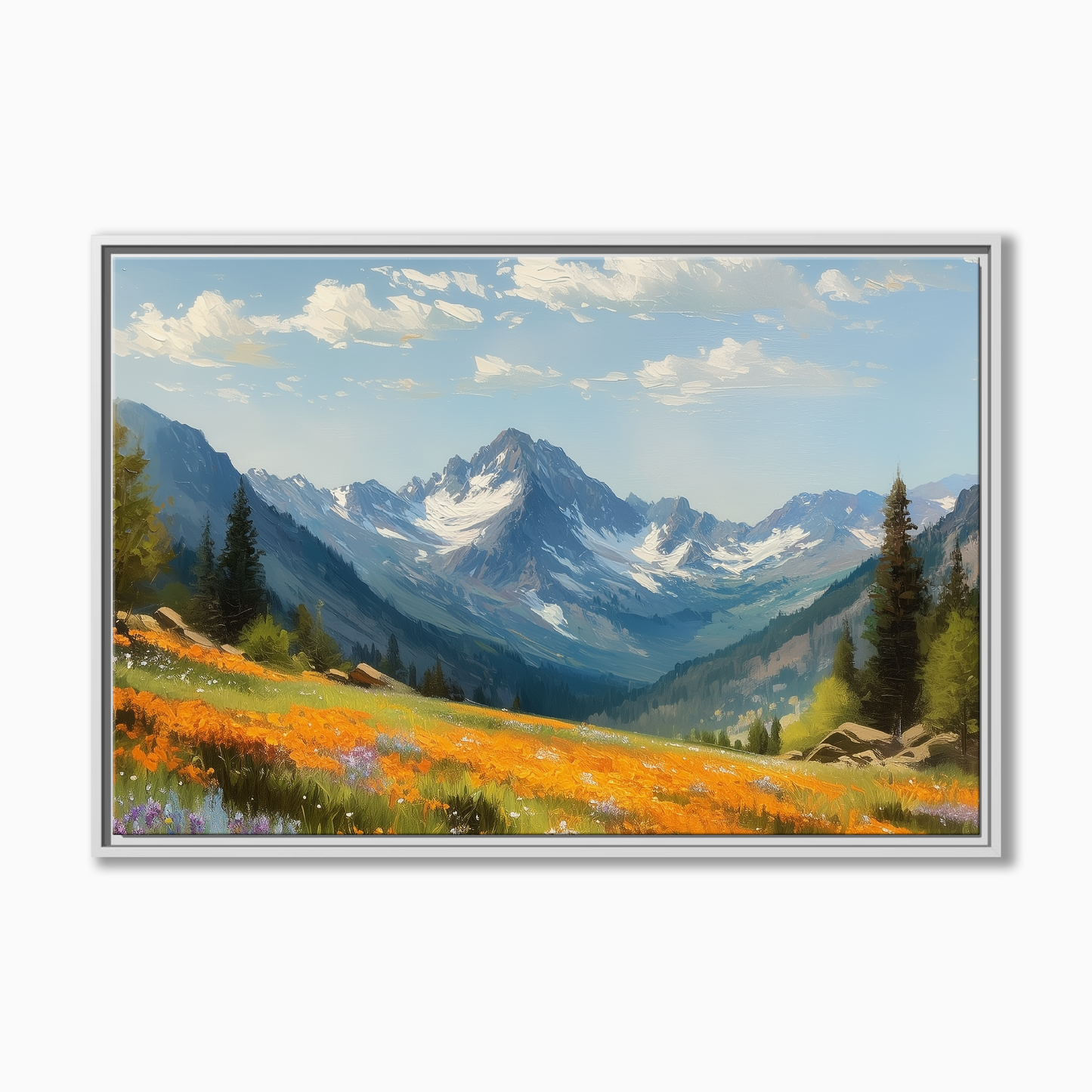 Colorado Alpine Meadow