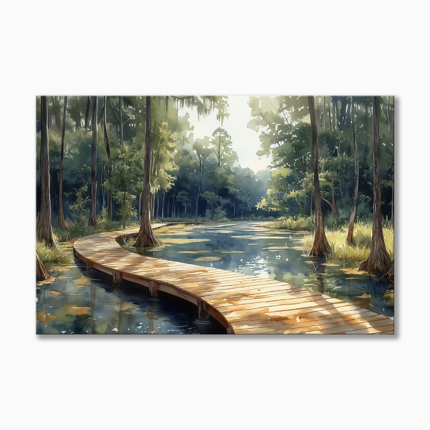 Congaree National Park