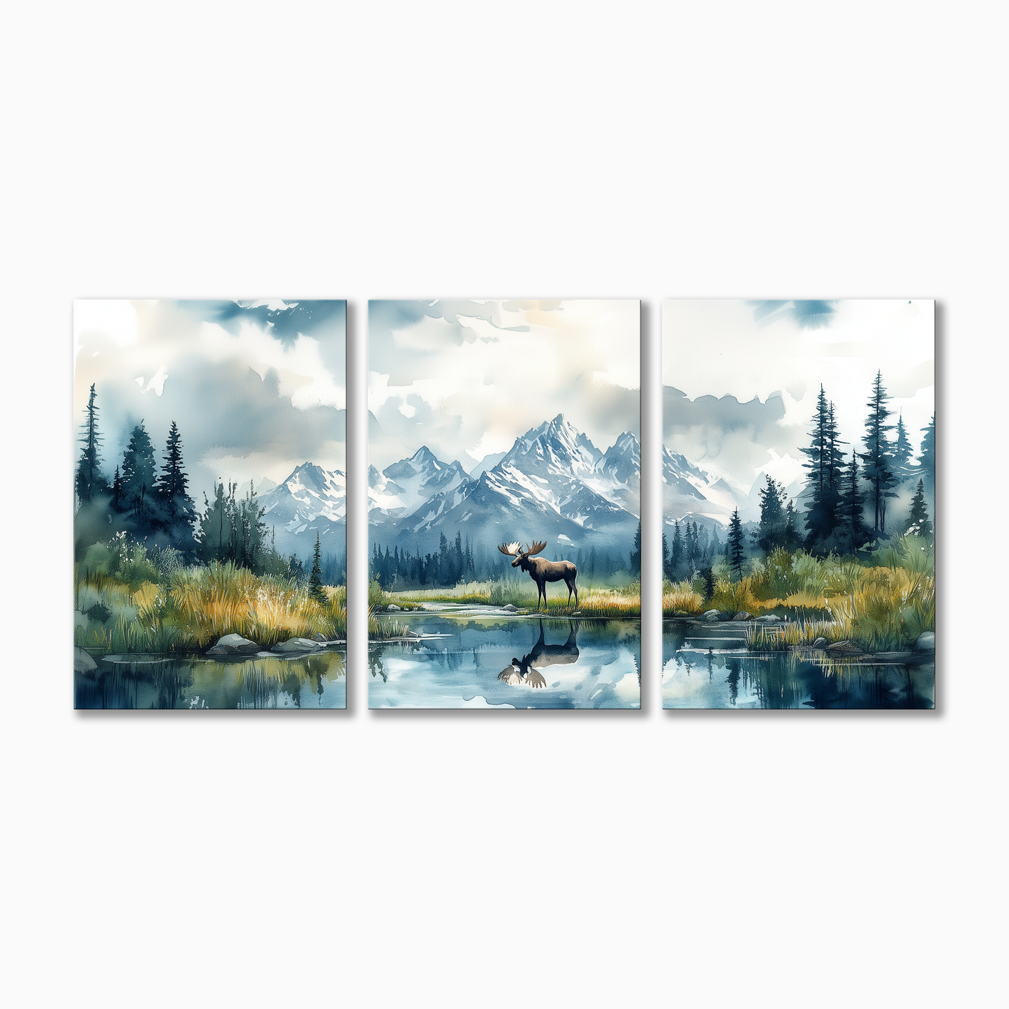 Denali National Park