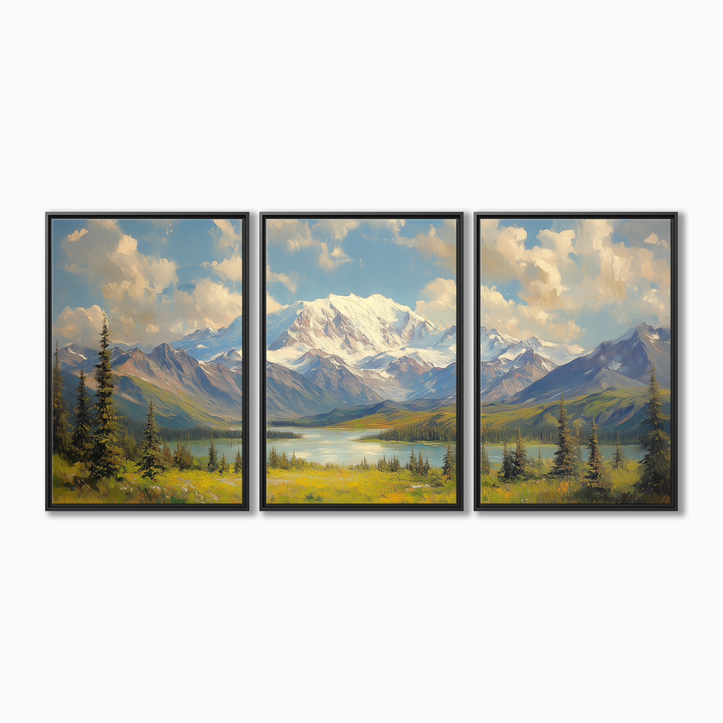 Denali National Park