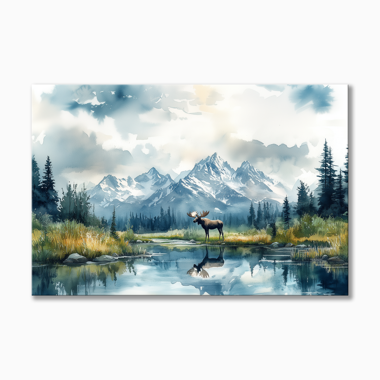 Denali National Park