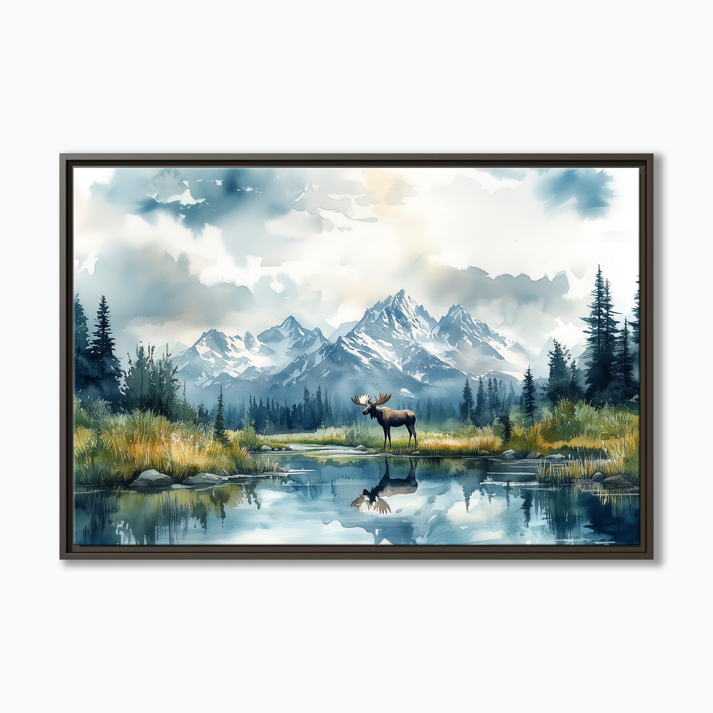 Denali National Park