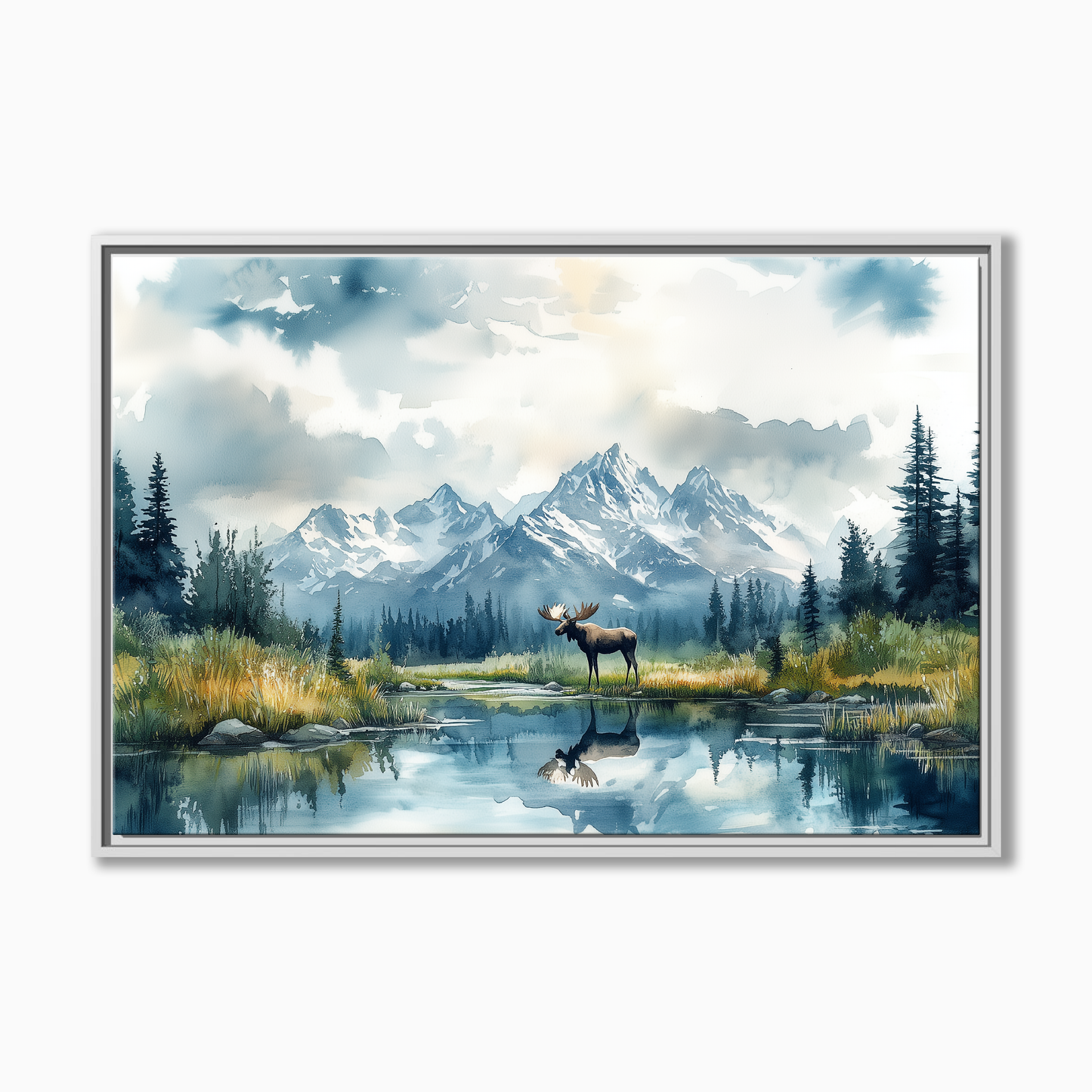 Denali National Park