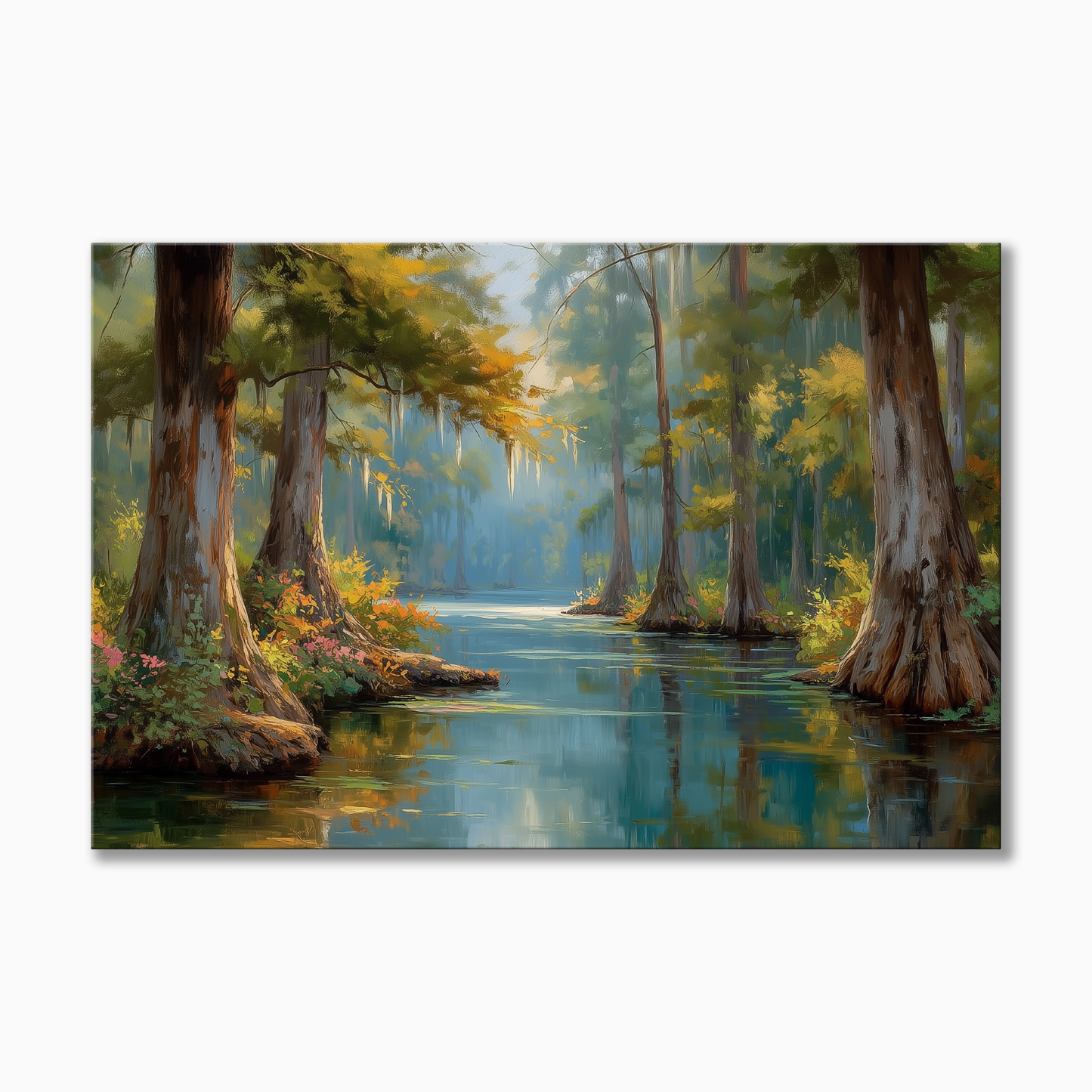 Florida Cypress Swamp
