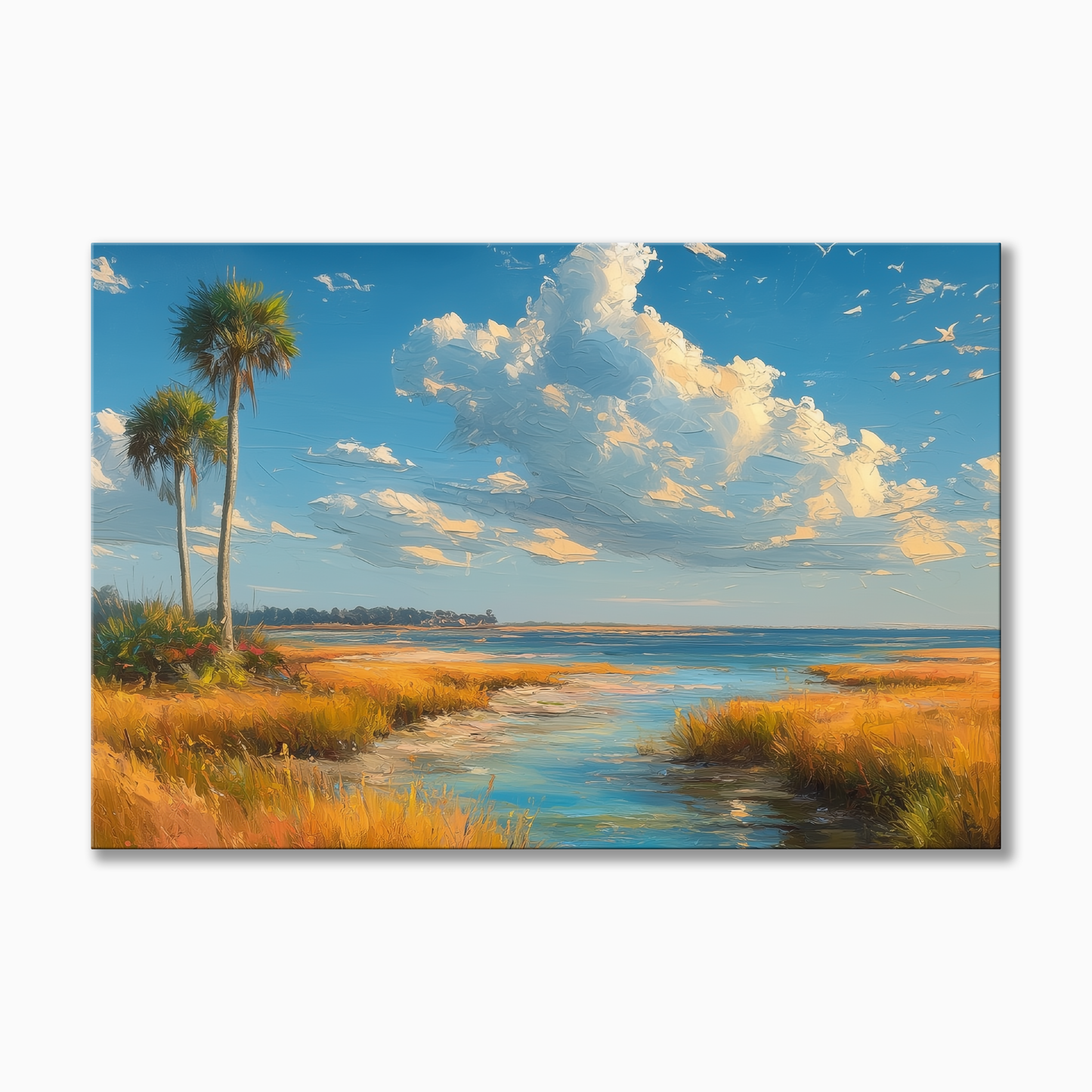 Florida Everglades Sawgrass Prairie