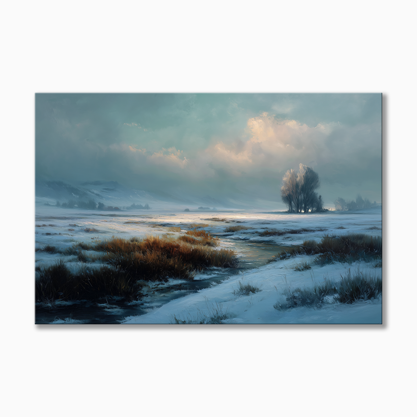 Misty Winter Meadow