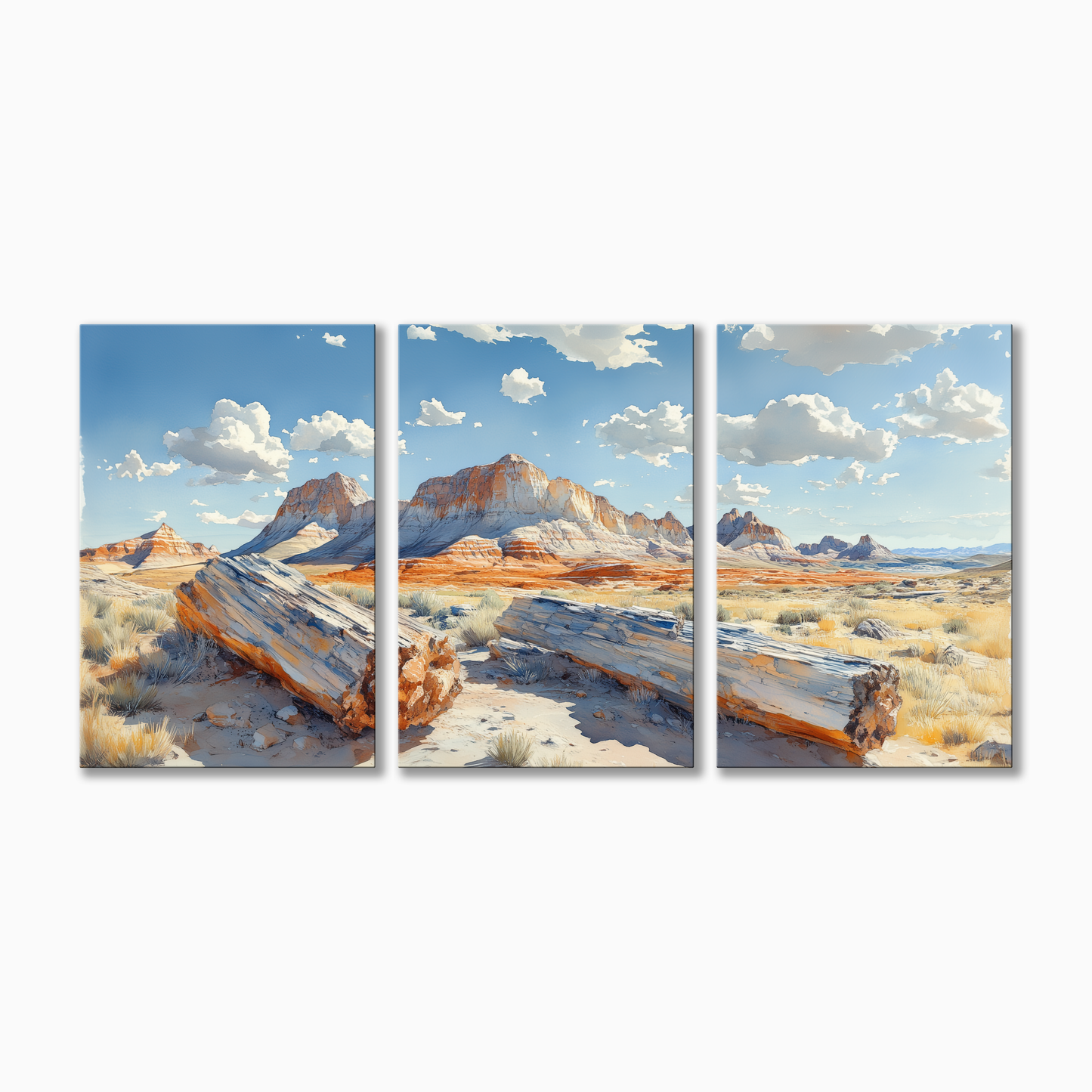 Petrified Forest National Park
