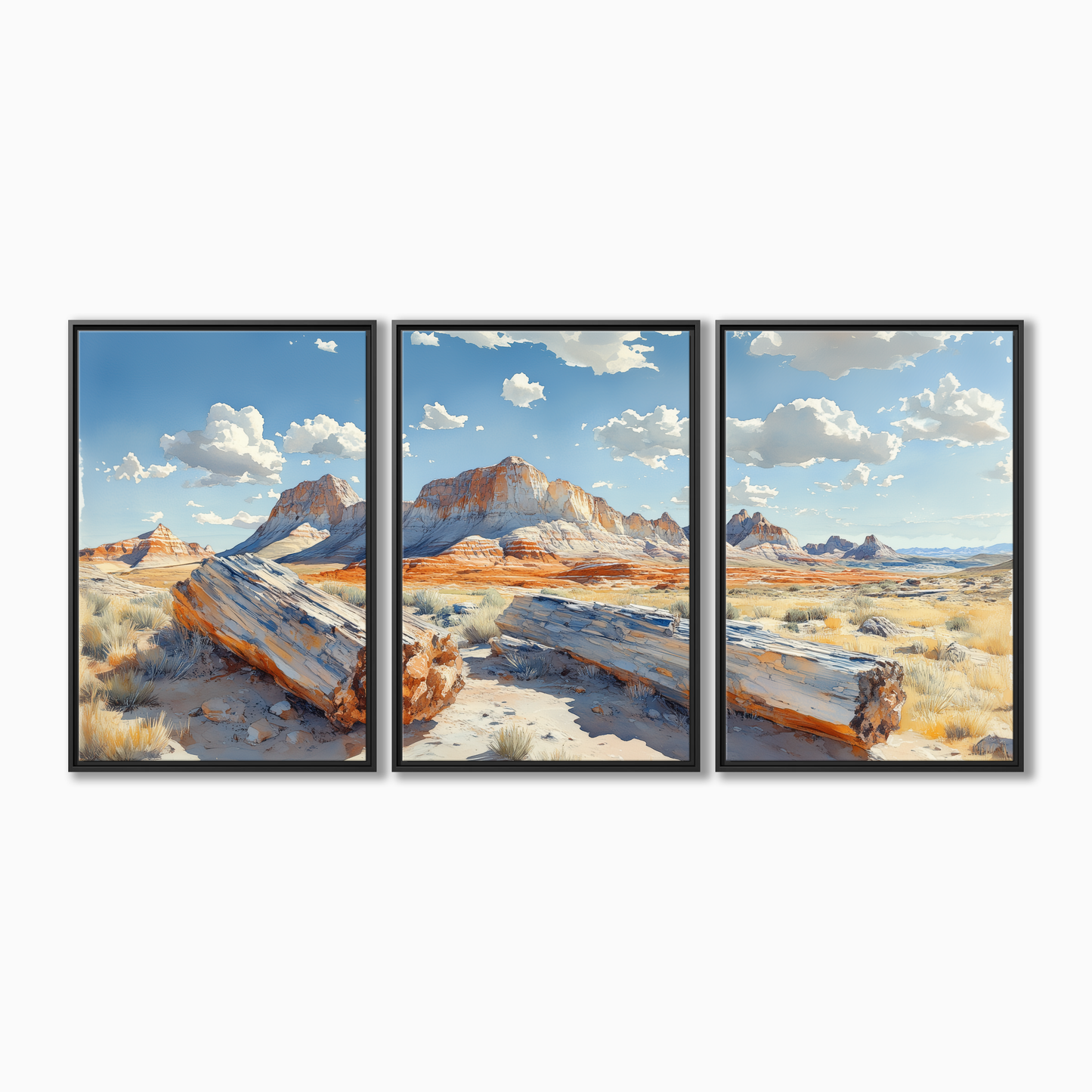 Petrified Forest National Park