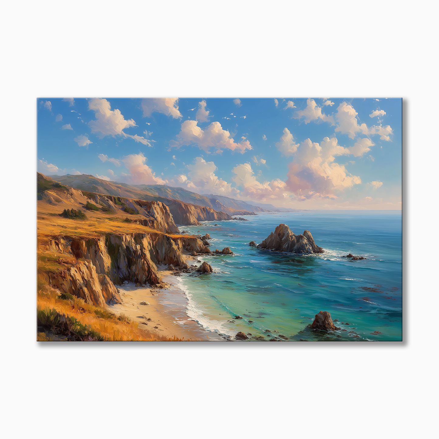 Point Reyes Coast