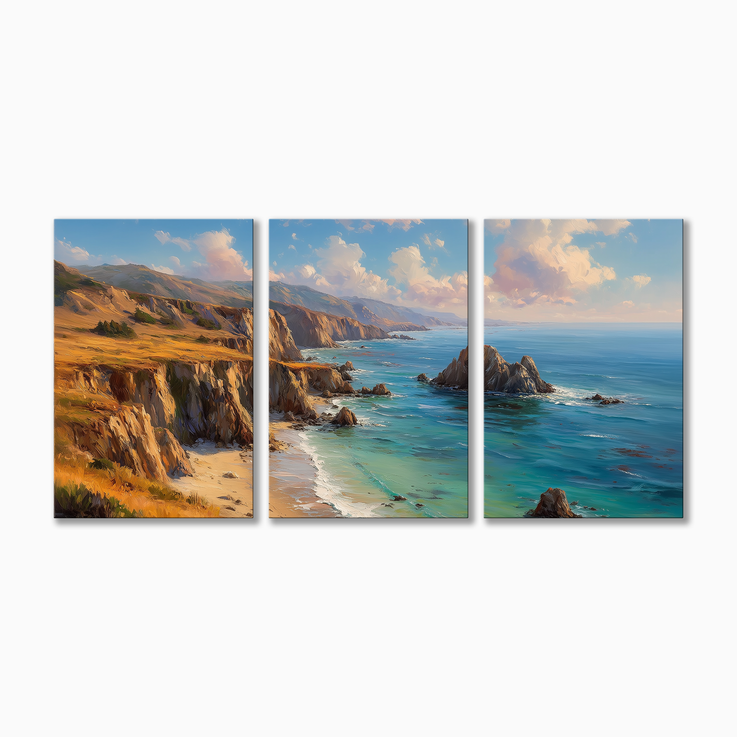 Point Reyes Coast