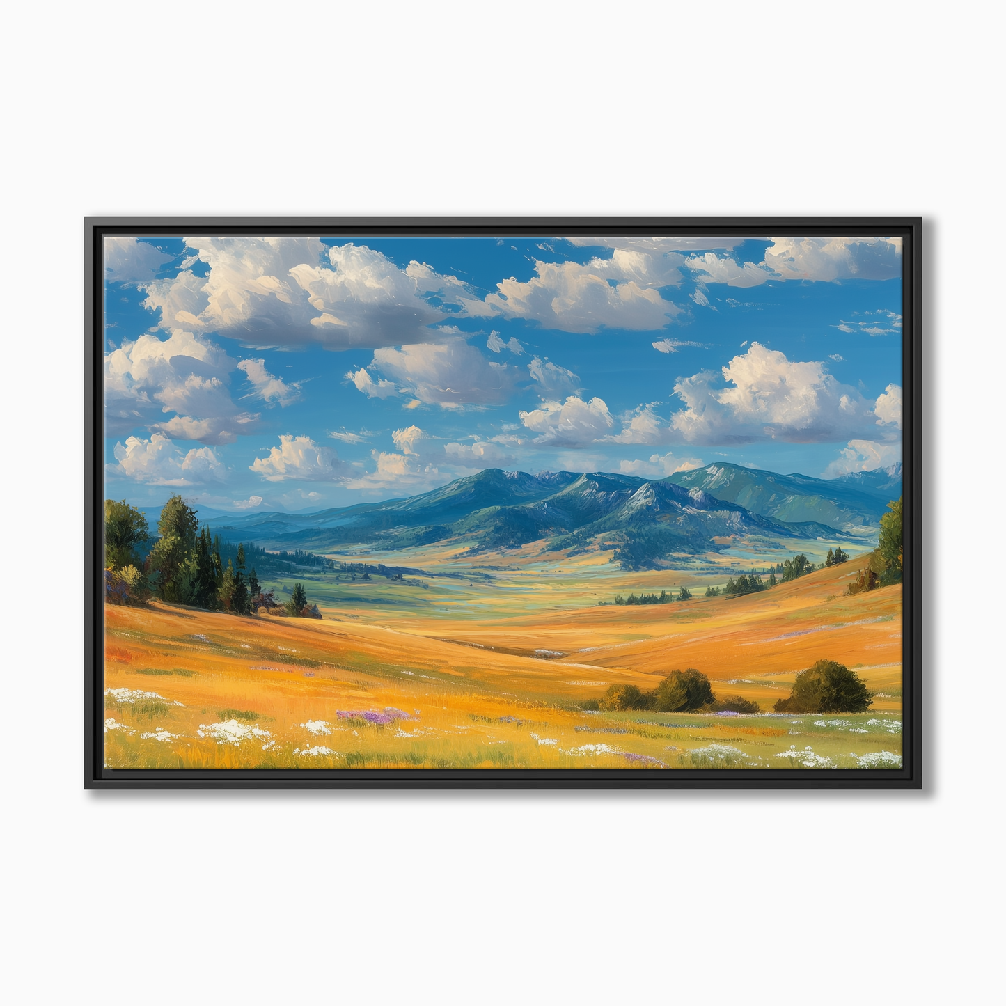Pryor Mountain Foothills Montana
