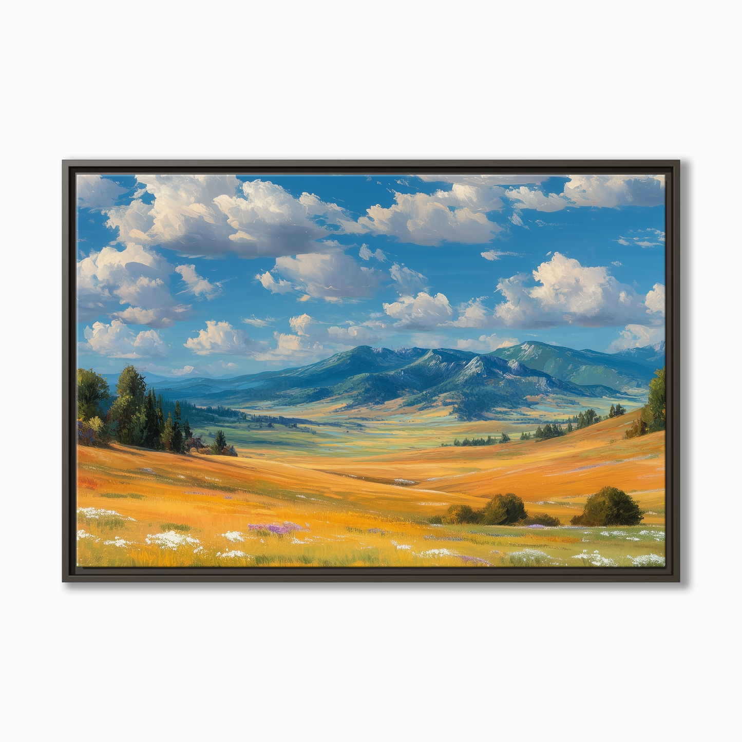 Pryor Mountain Foothills Montana