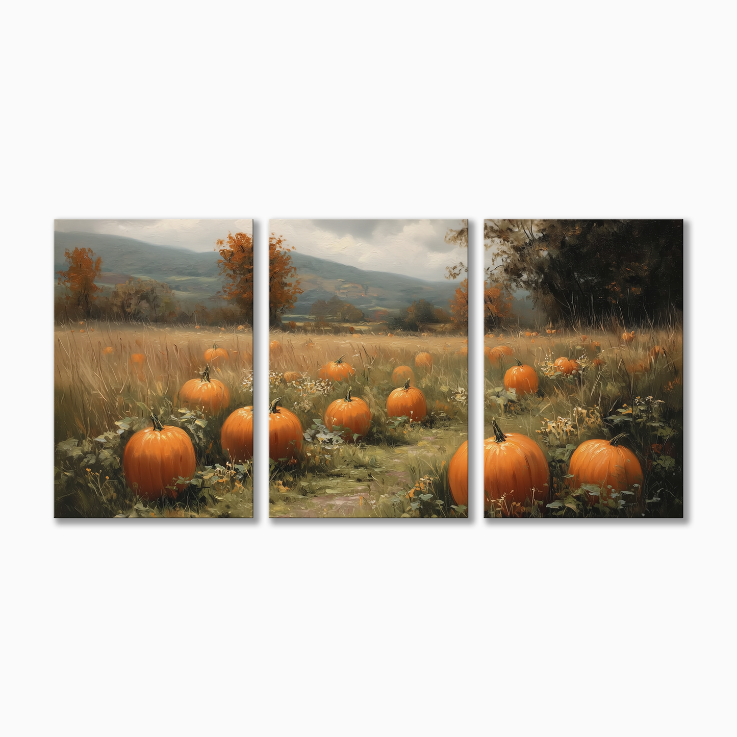 Pumpkin Patch