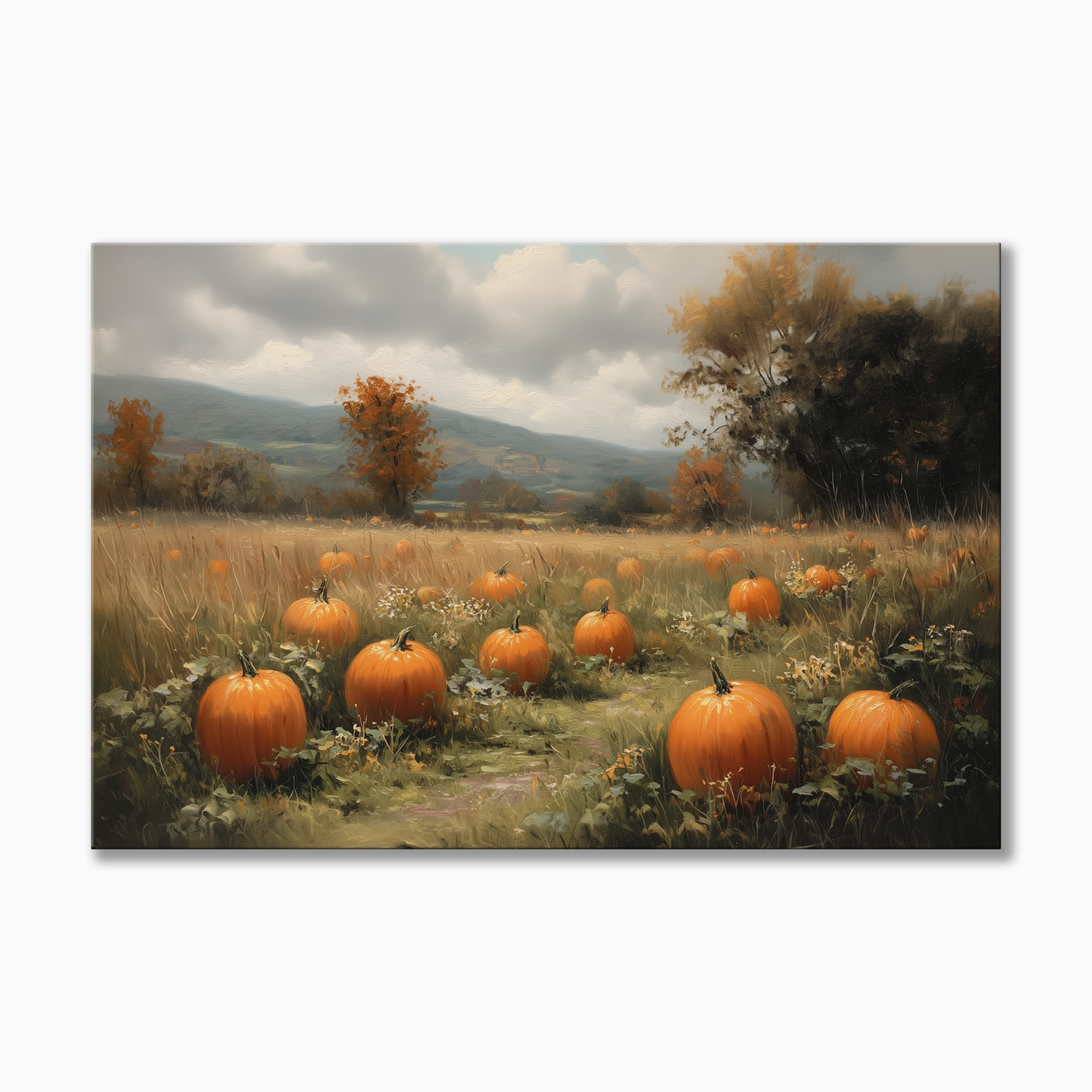 Pumpkin Patch