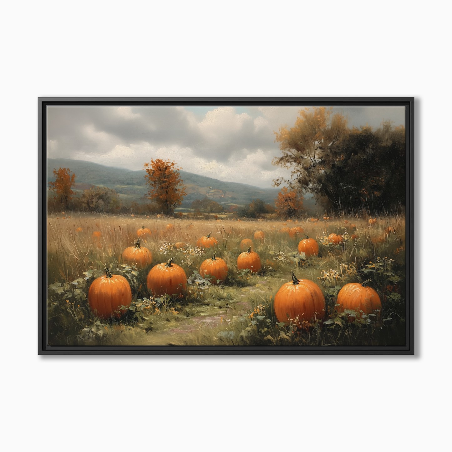 Pumpkin Patch
