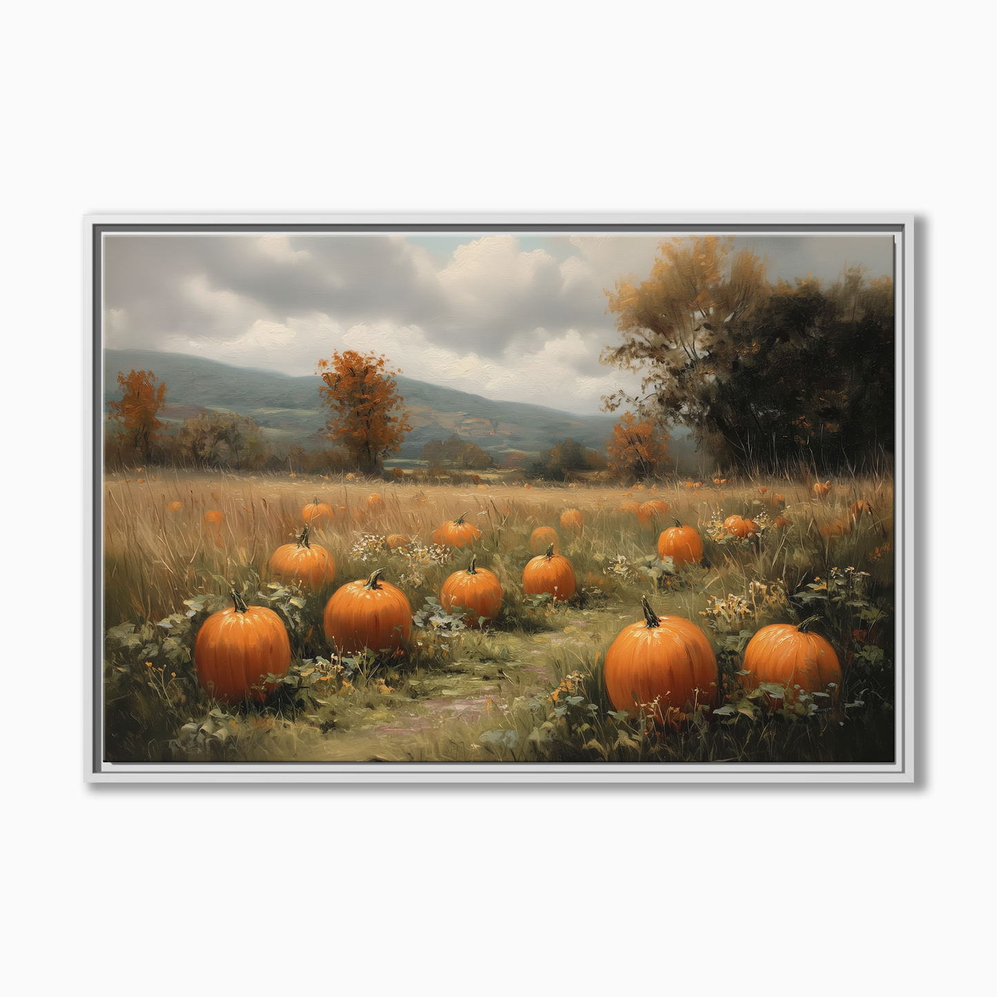 Pumpkin Patch