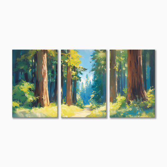 Redwood National Park