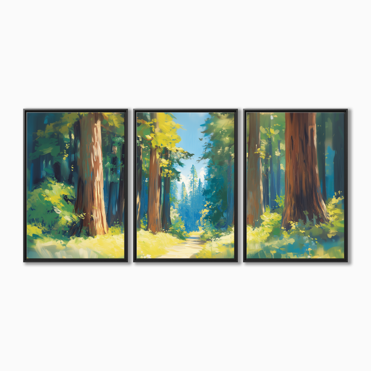 Redwood National Park