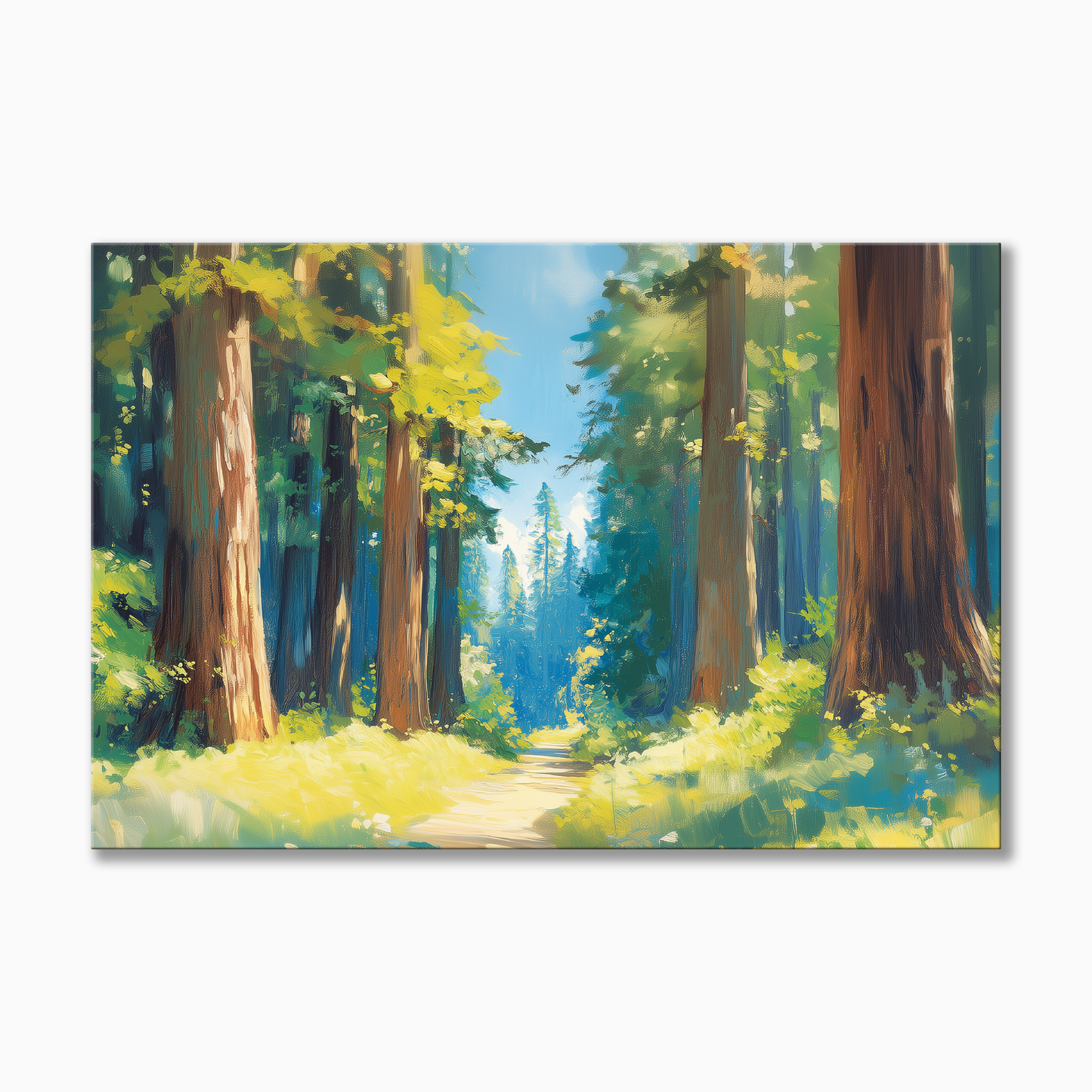 Redwood National Park