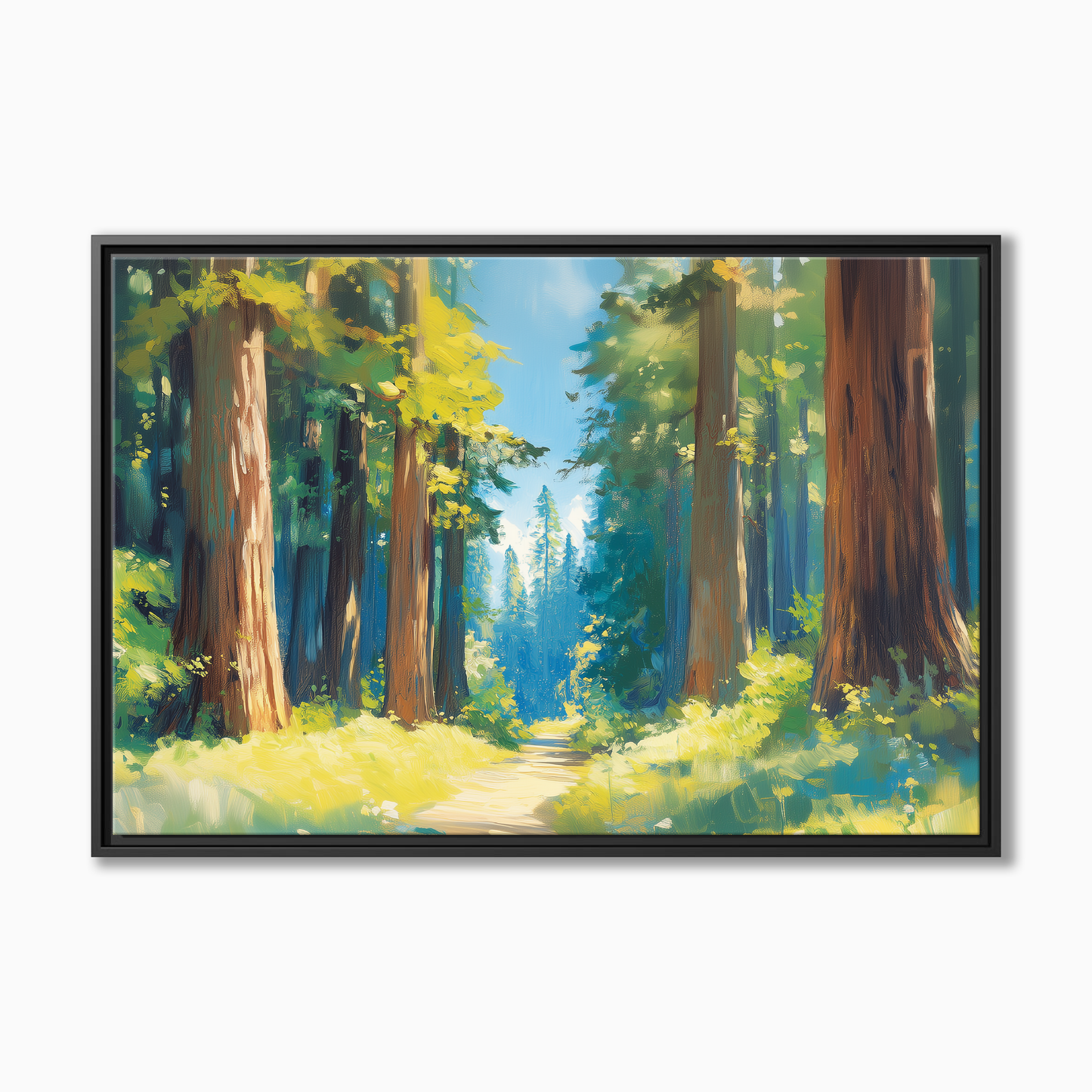 Redwood National Park