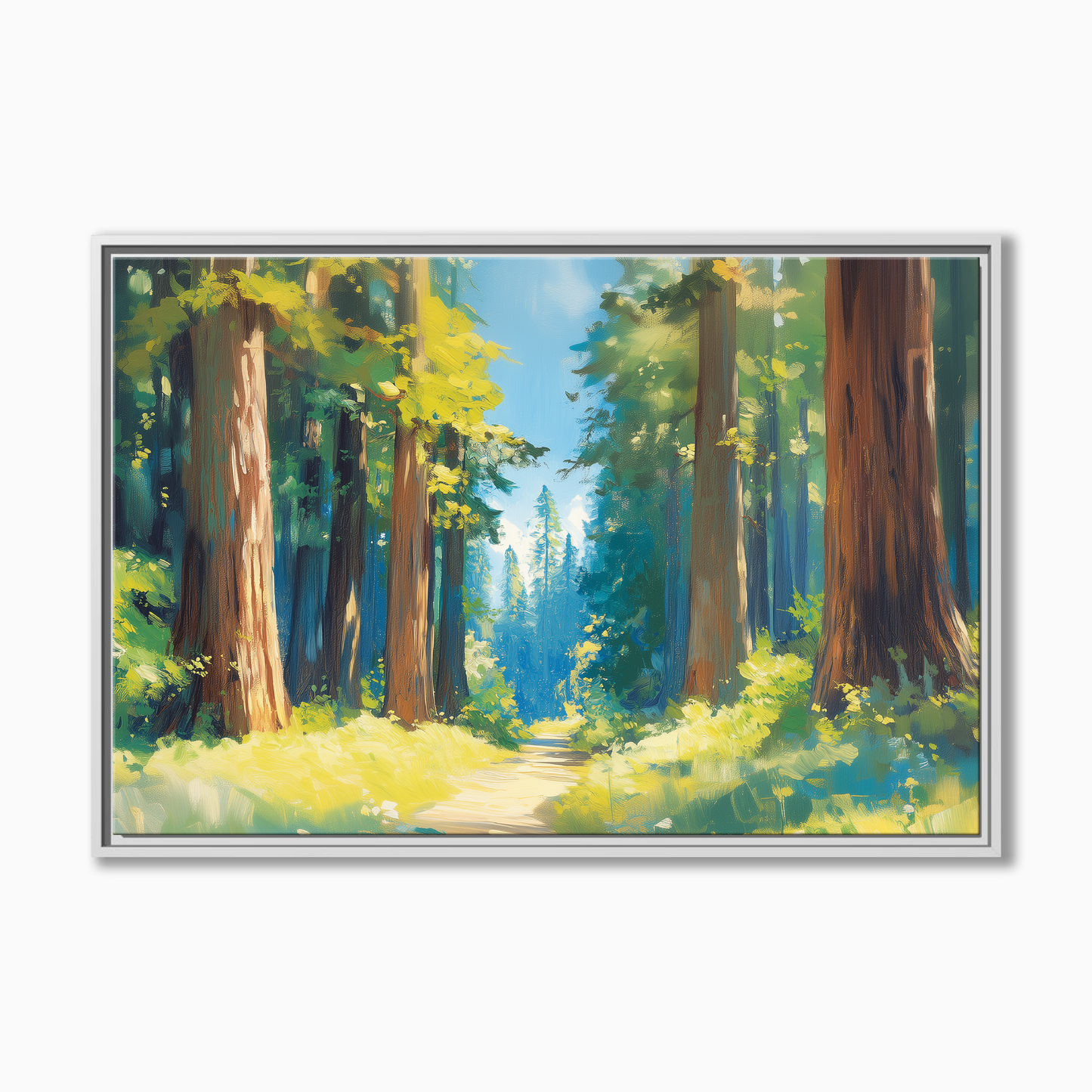 Redwood National Park
