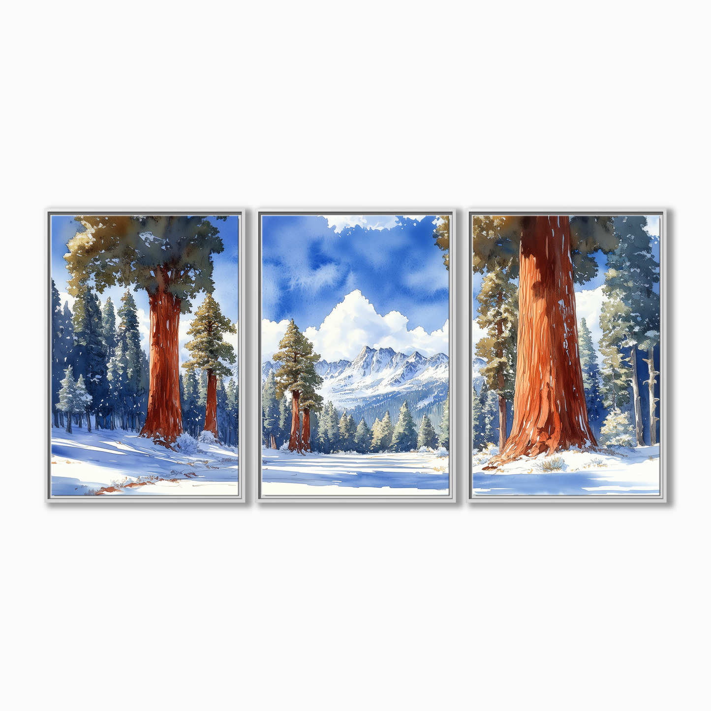 Sequoia National Park