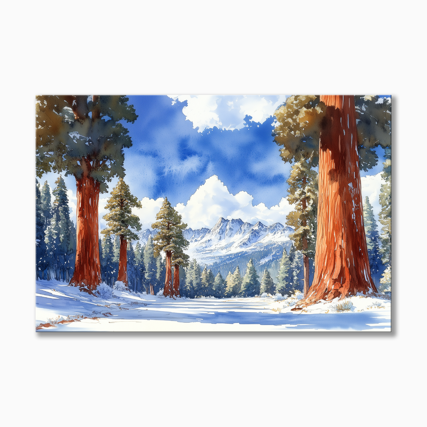 Sequoia National Park