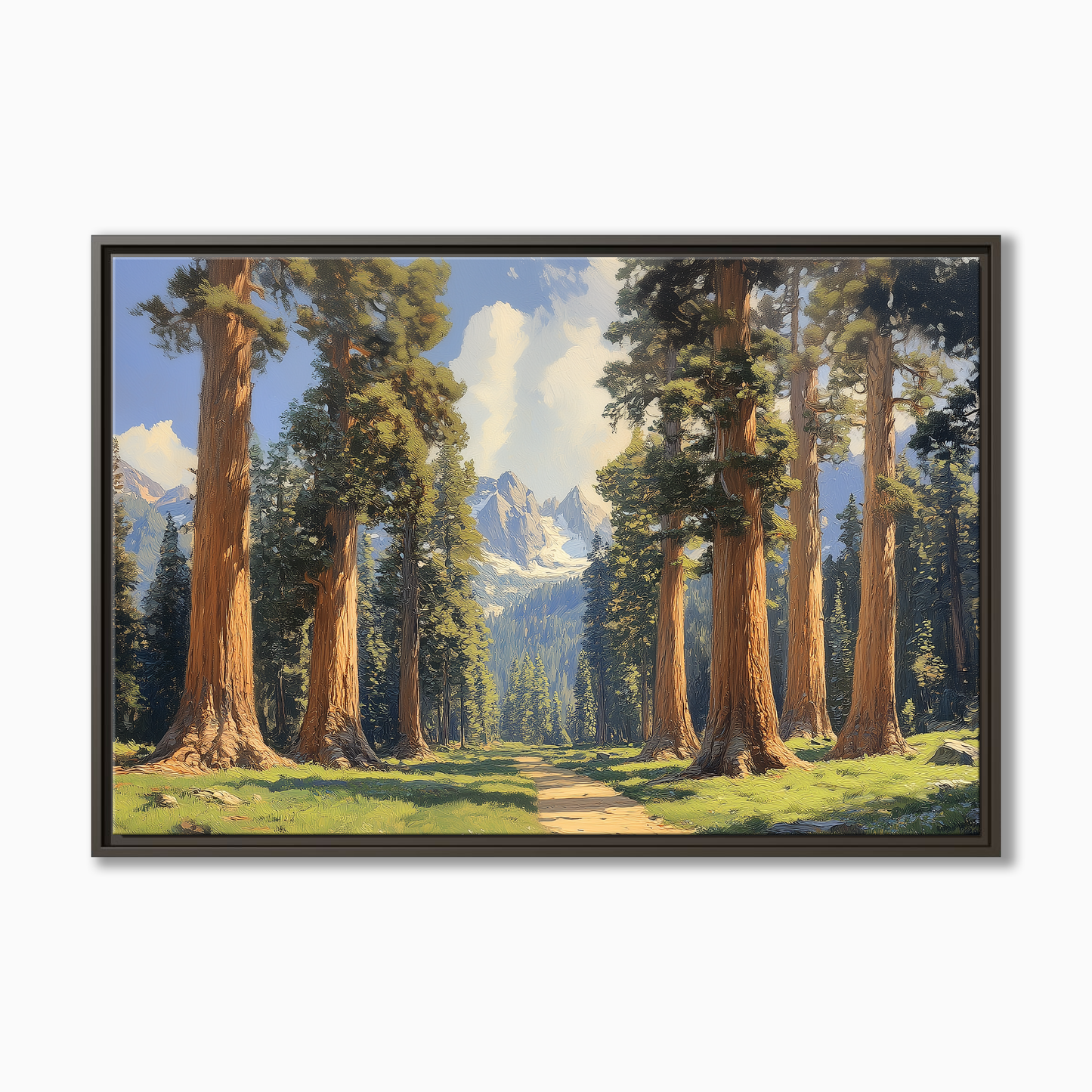 Sequoia National Park