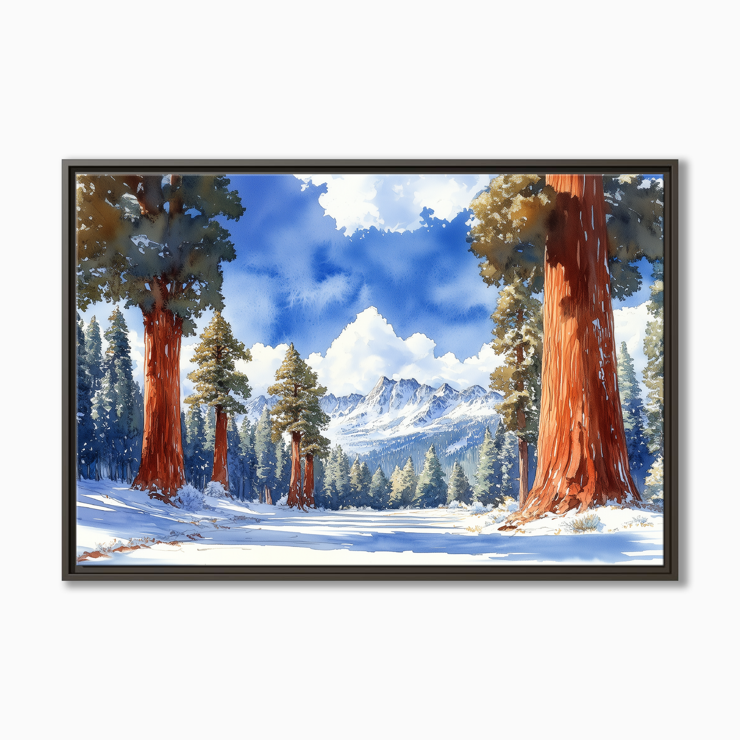 Sequoia National Park