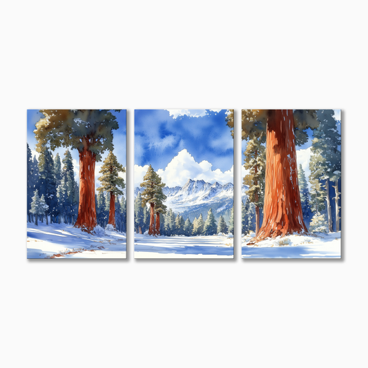 Sequoia National Park