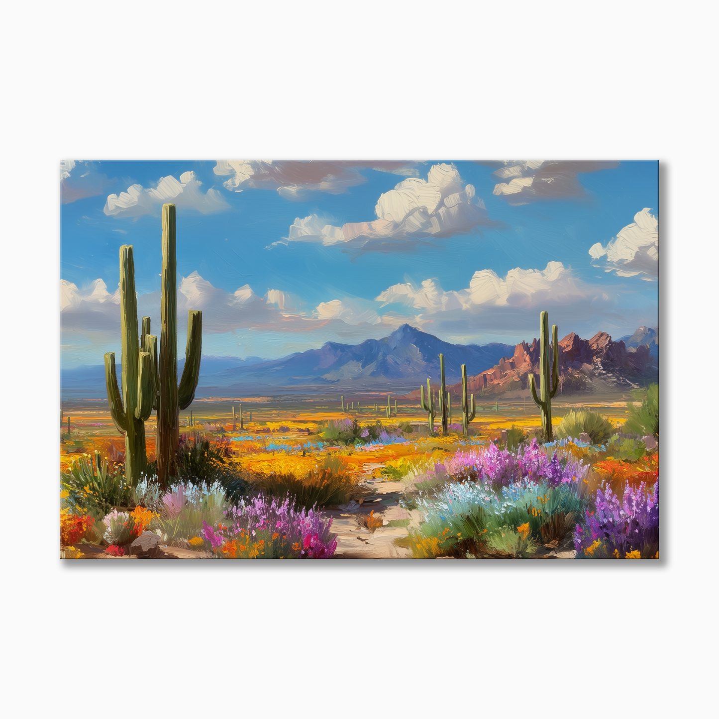 Sonoran Desert Bloom
