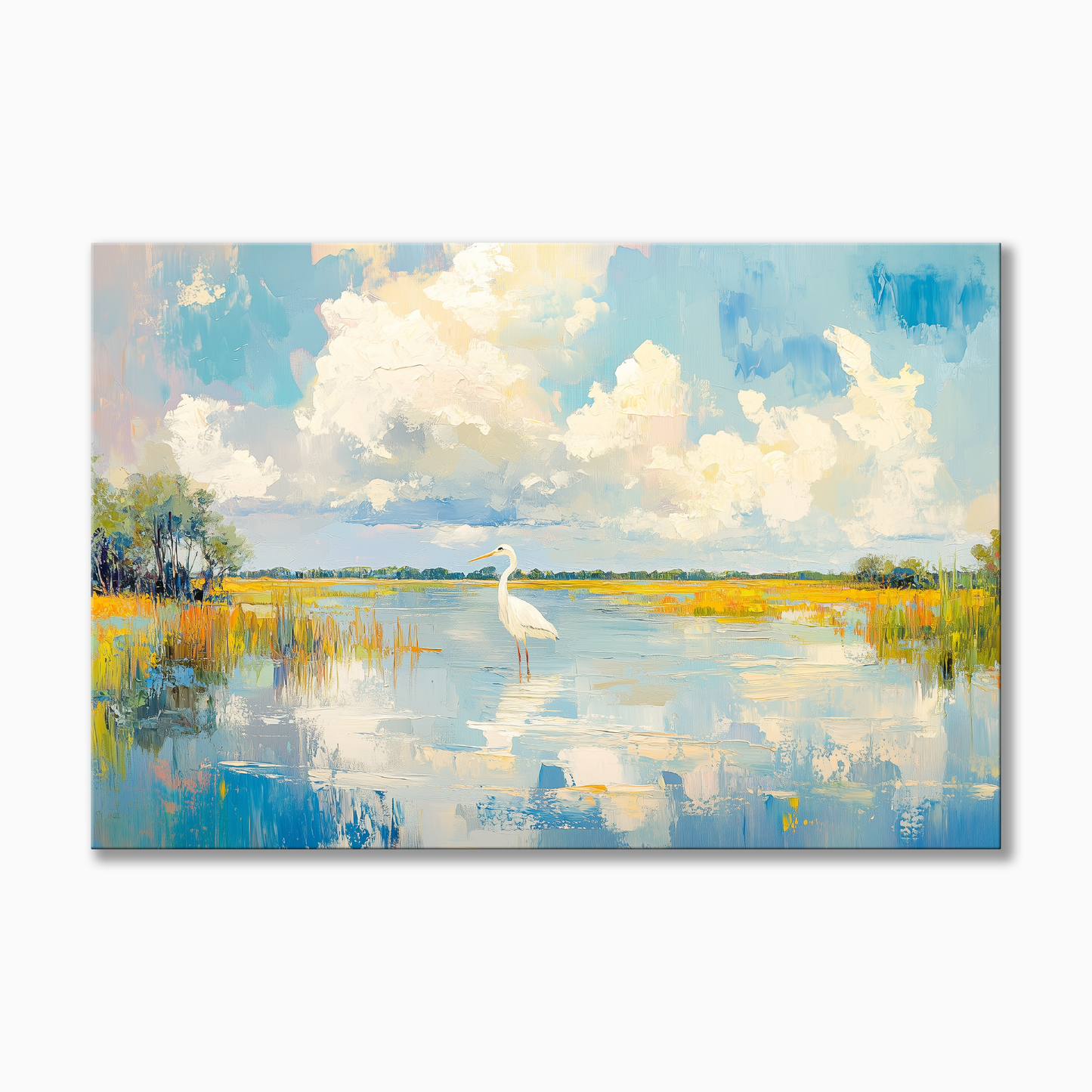 Florida Coastal Marsh