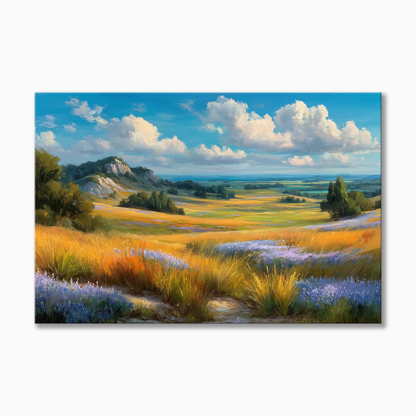 Texas Hill Country