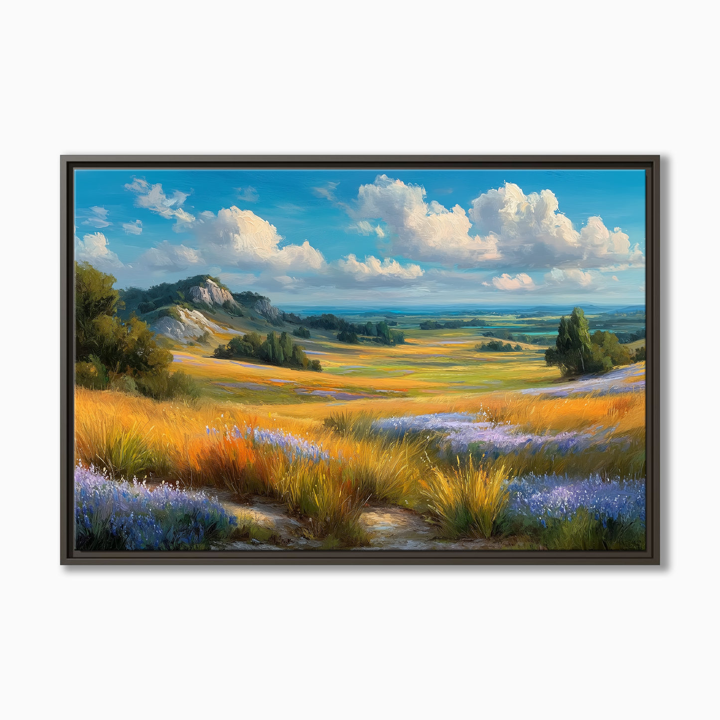 Texas Hill Country