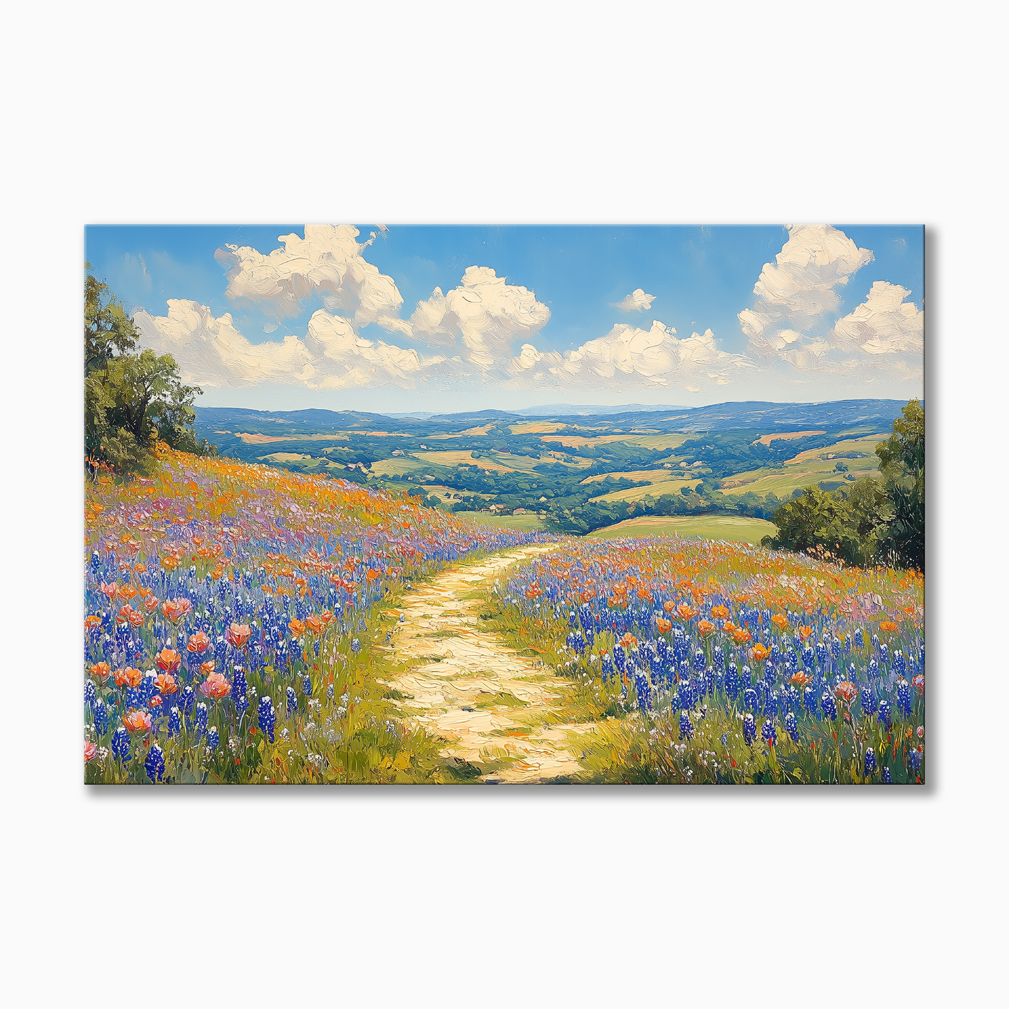 Texas Bluebonnet Hill Country