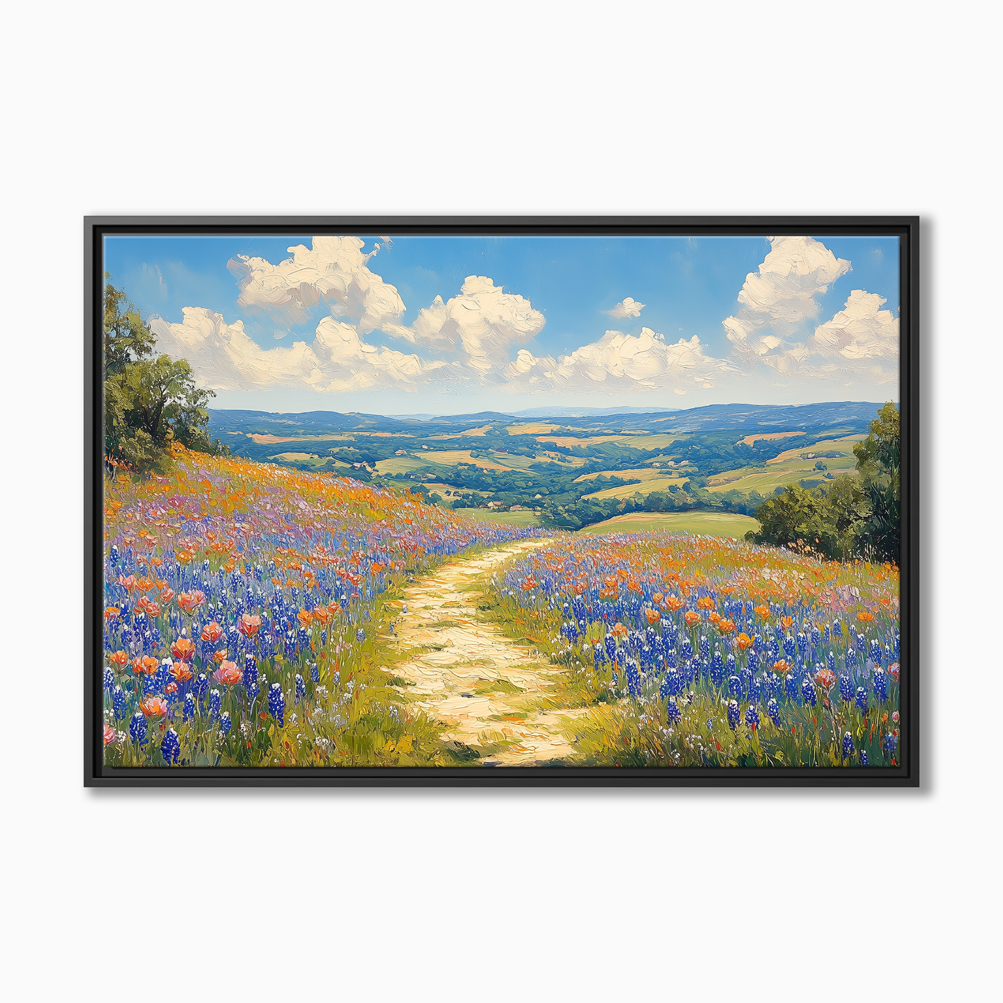 Texas Bluebonnet Hill Country