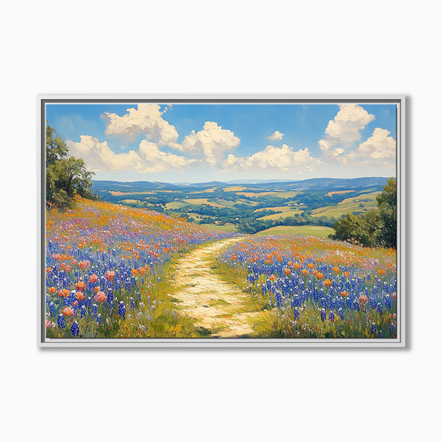 Texas Bluebonnet Hill Country