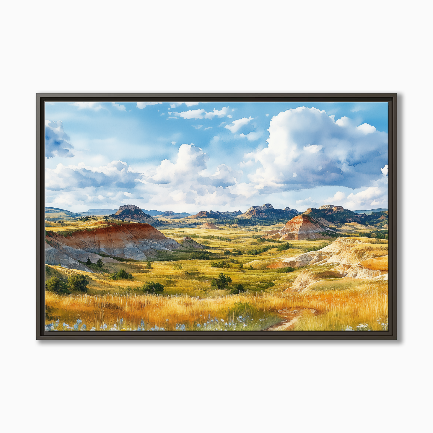 Theodore Roosevelt National Park
